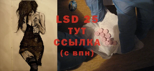 прущие грибы Новокубанск