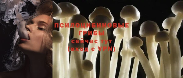 бутик Новозыбков