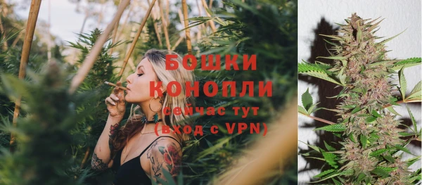 Альфа ПВП Гусь-Хрустальный