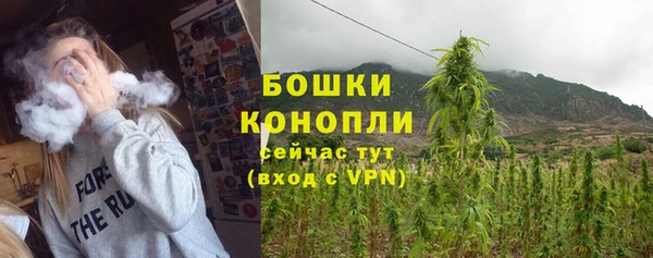 прущие грибы Новокубанск