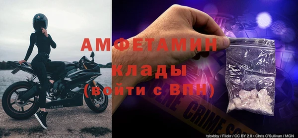 Альфа ПВП Гусь-Хрустальный